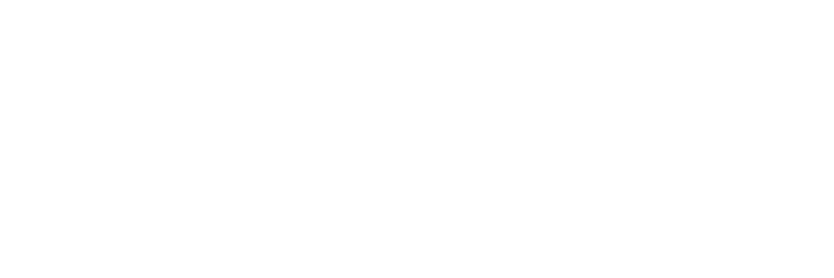 メガ丼弁当